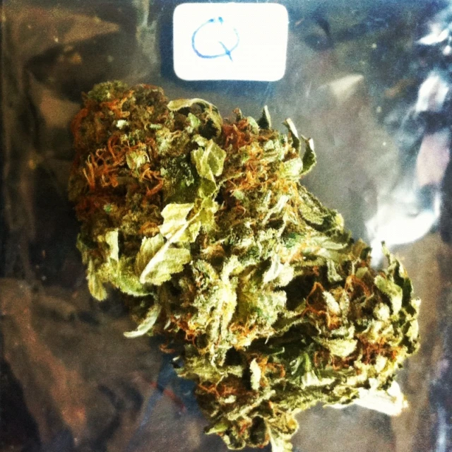 a plastic bag with weed on top of it