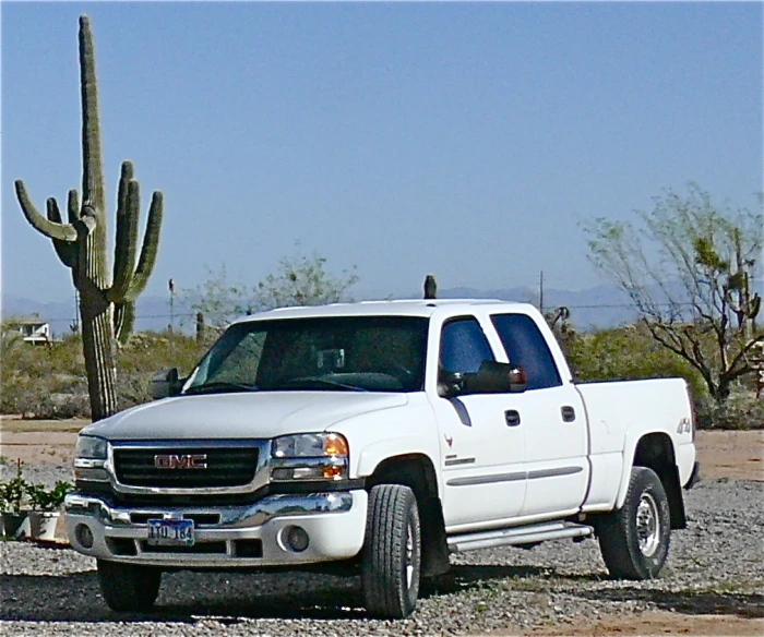 a white truck parked in front of a cactus