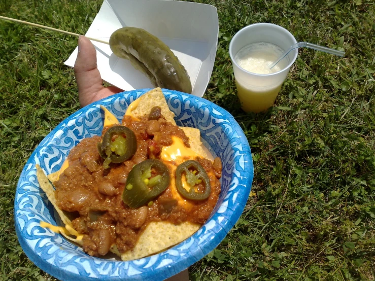 a person is holding a blue paper plate with food on it