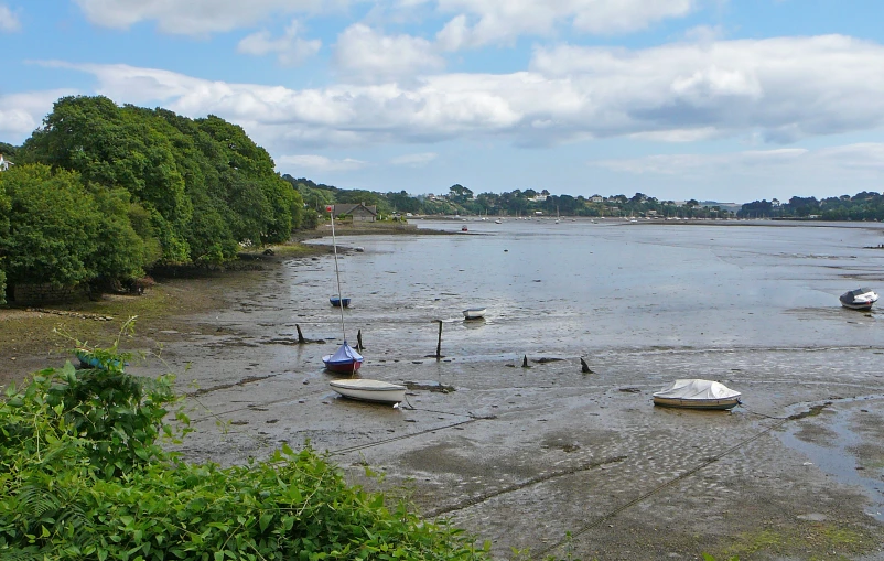 a body of water surrounded by trees and land