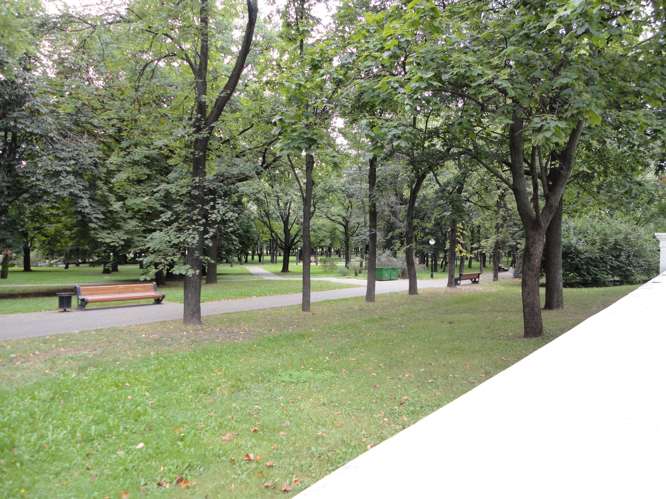 park benches and trees on a grassy field