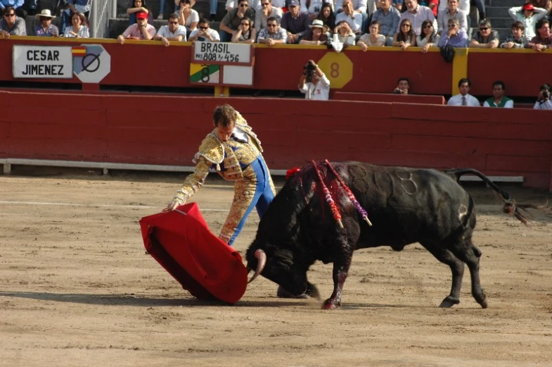 the bullfighter is trying to stop the bull from attacking him
