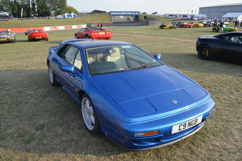 three sports cars are lined up on a grassy lot