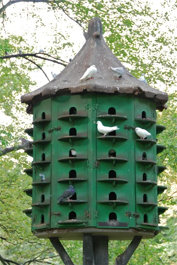 birds are sitting on the top of a green bird house