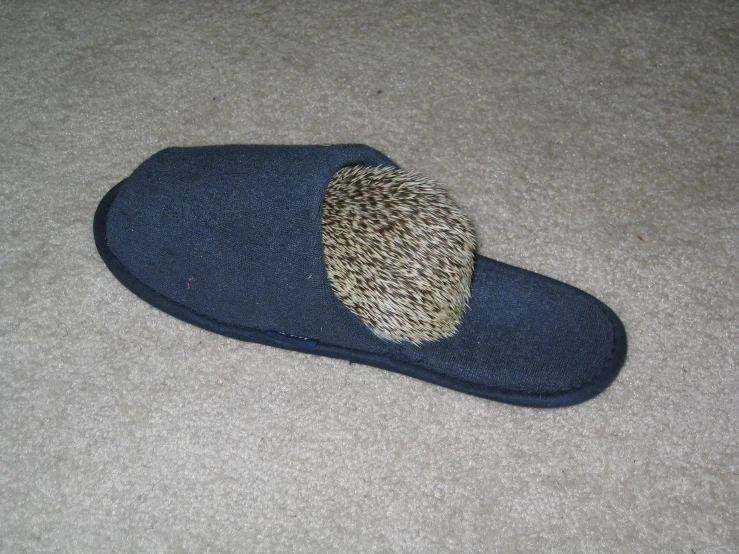 the bottom half of a hat is folded on a carpet