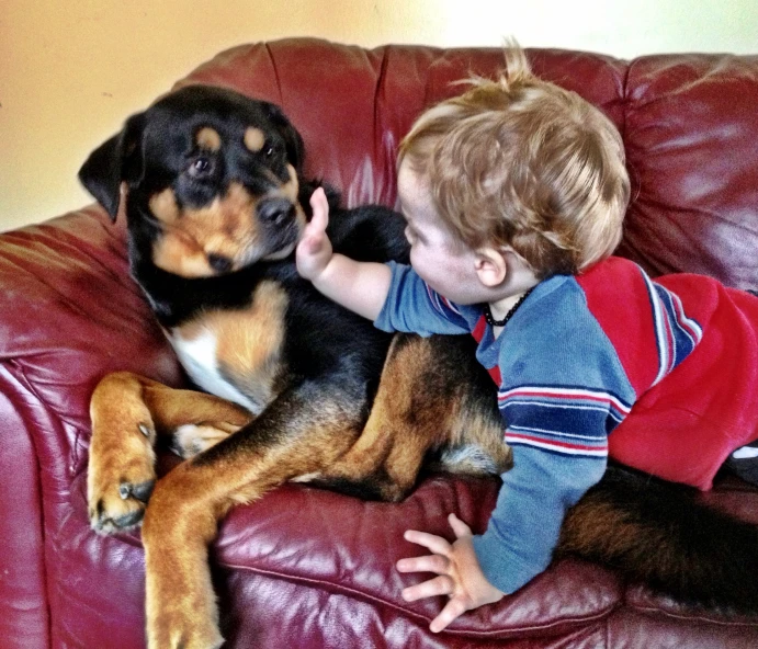 the little boy is petting the large dog on the couch