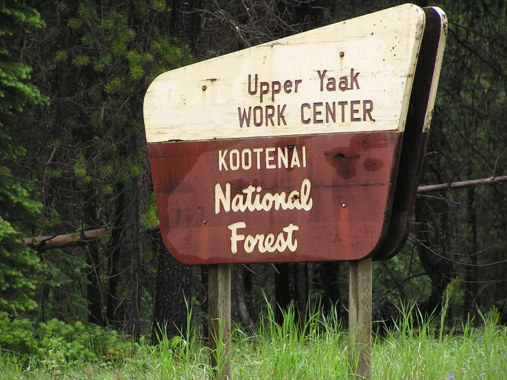 there is a sign in the woods, which has been vandalized