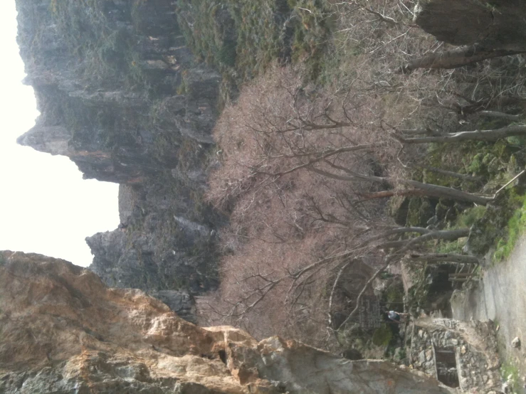 a pathway through the woods towards cliffs