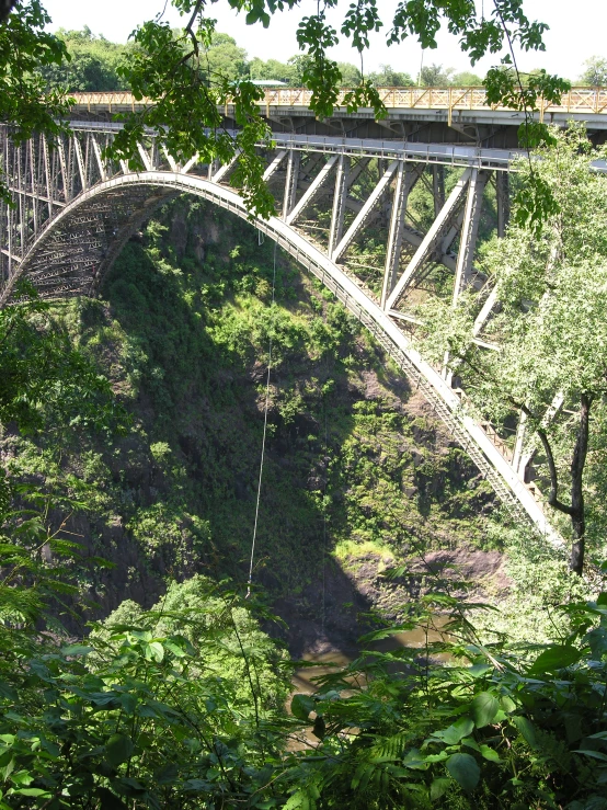 a bridge spans over a river with green trees and bushes