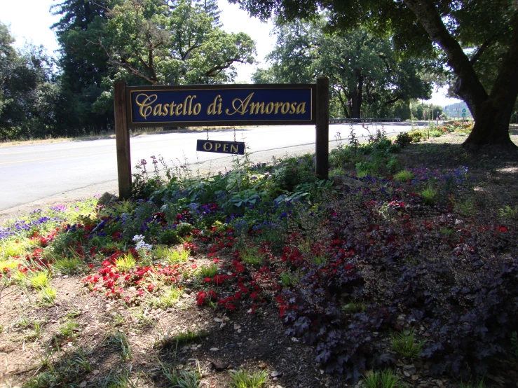 a blue sign next to flowers and trees