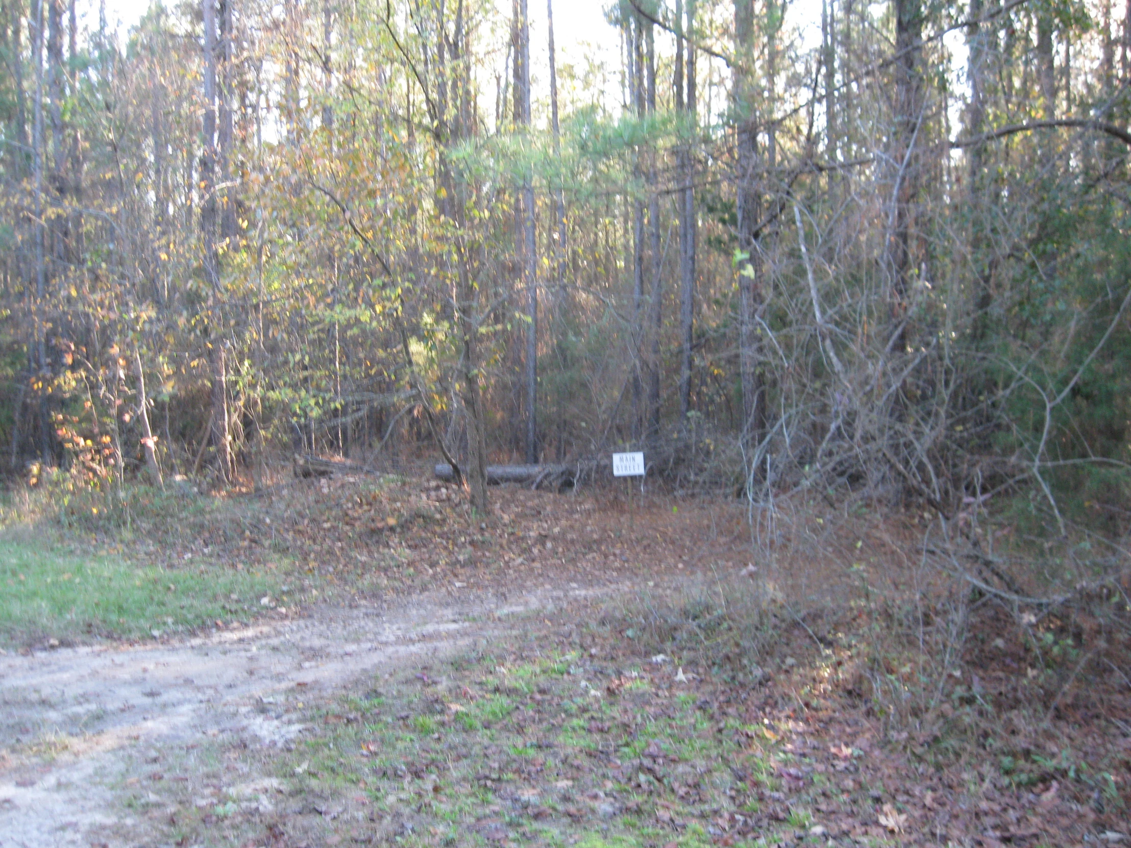 a small road with trees on both sides of it