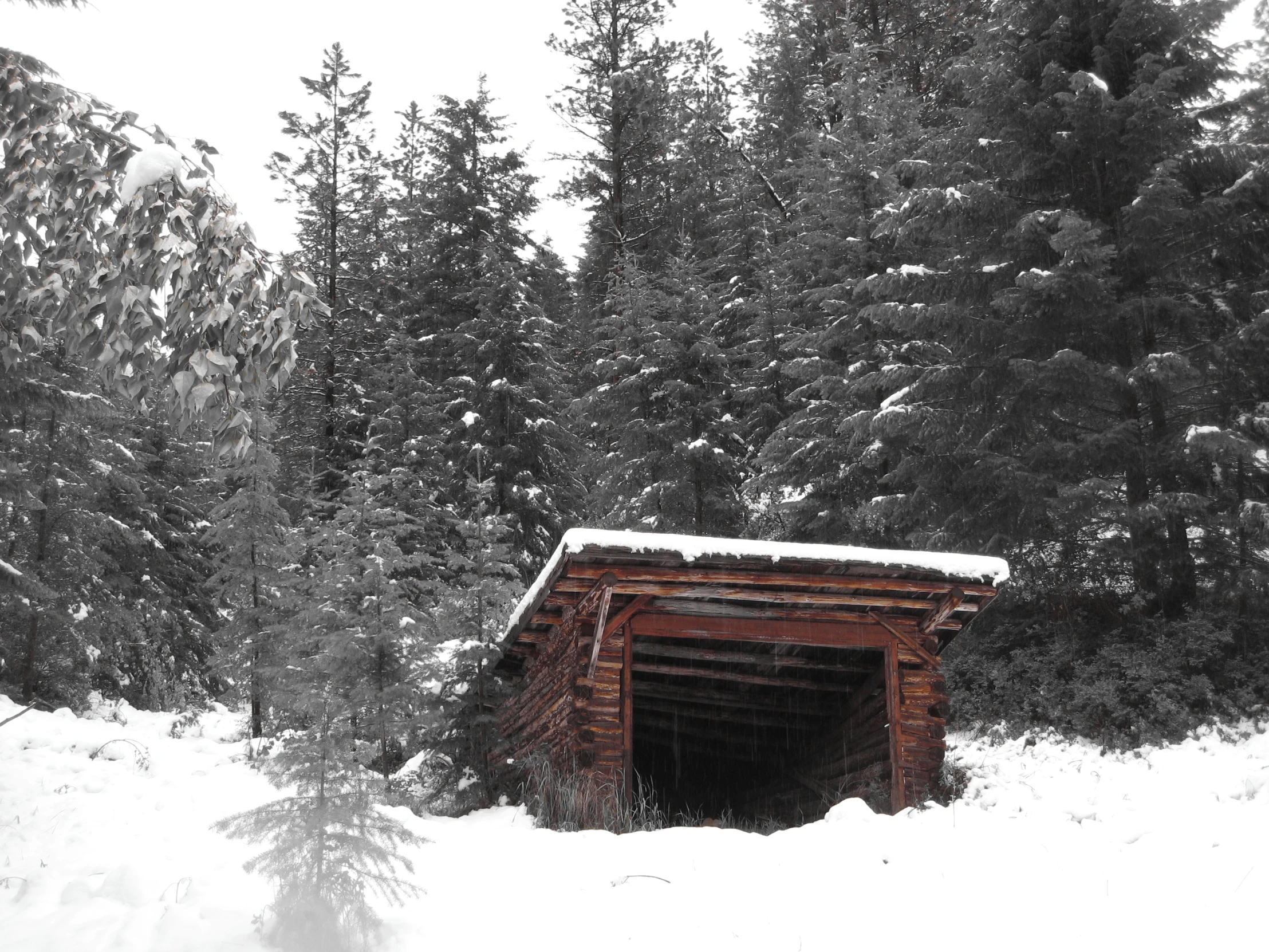a covered in snow area that looks like an old shed