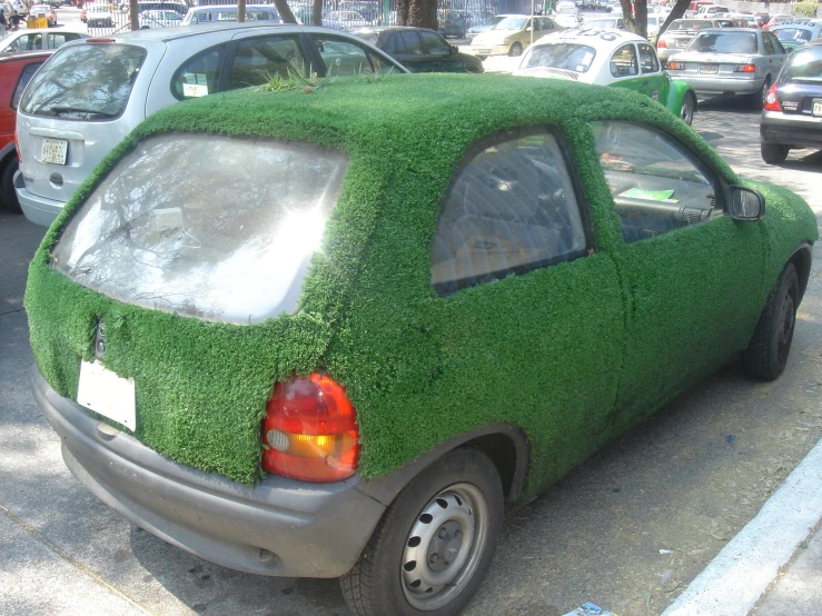 the back of a car with a green roof and window