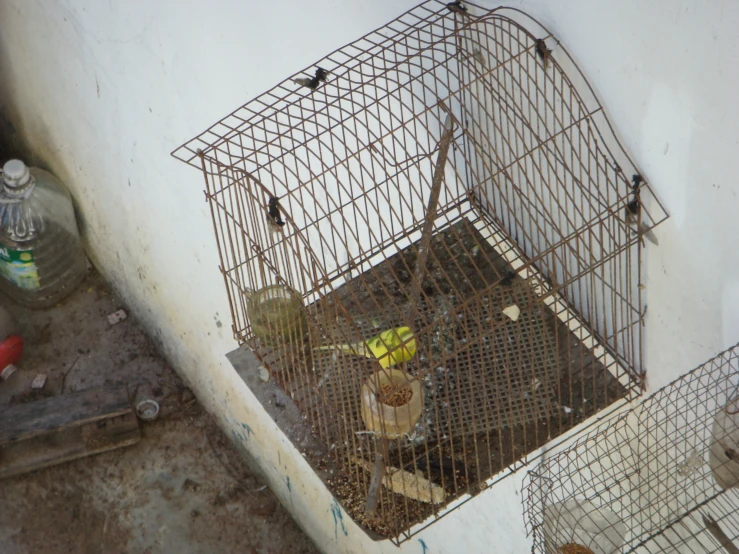 an image of birds in a cage on the wall