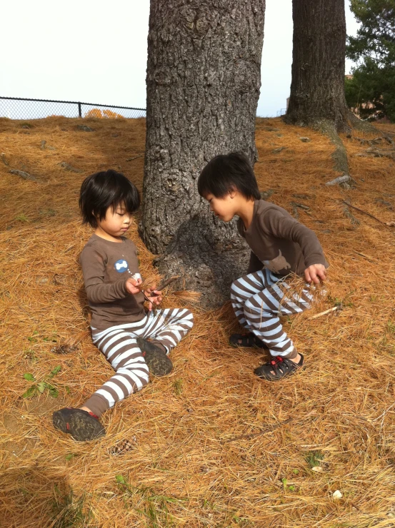 two s are sitting in front of a tree