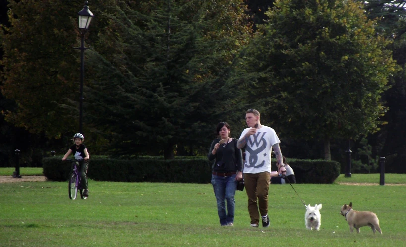 a man and woman walk dogs through a park