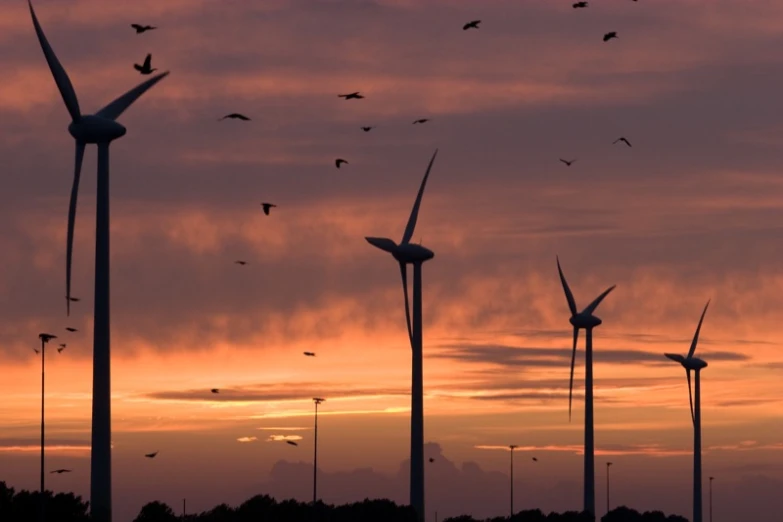 several windmills standing tall in front of the sun