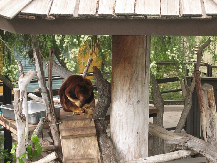 a monkey sitting on top of a wooden fence