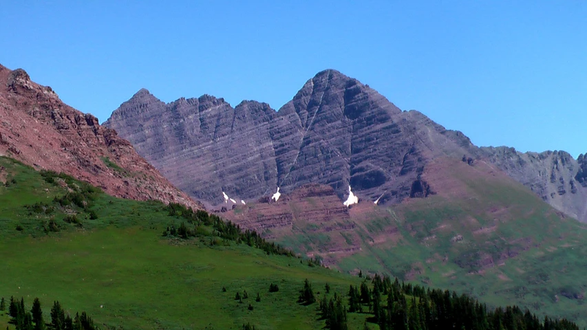 mountains in the background with trees on the slopes