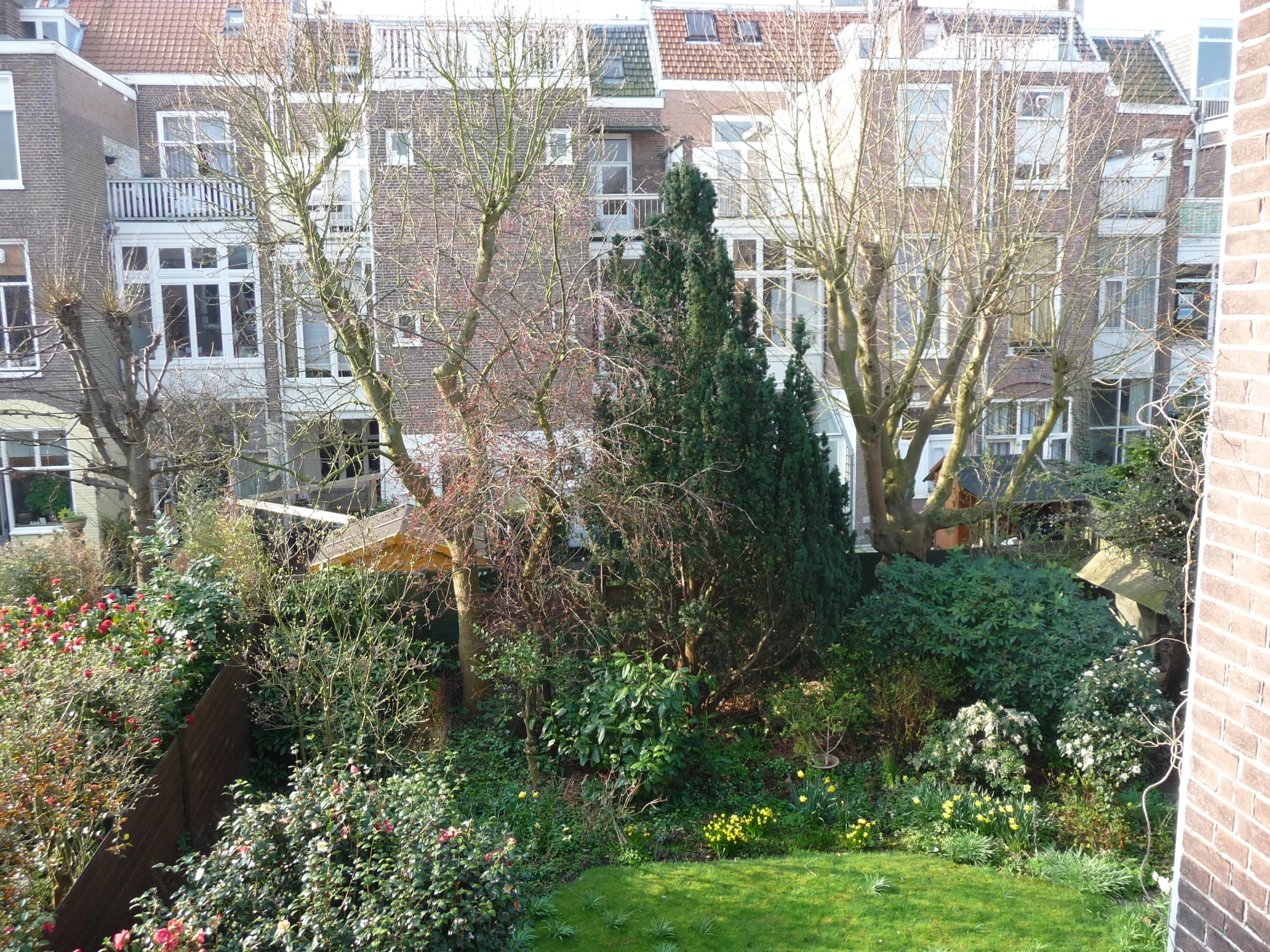 a garden with green grass and trees near the building