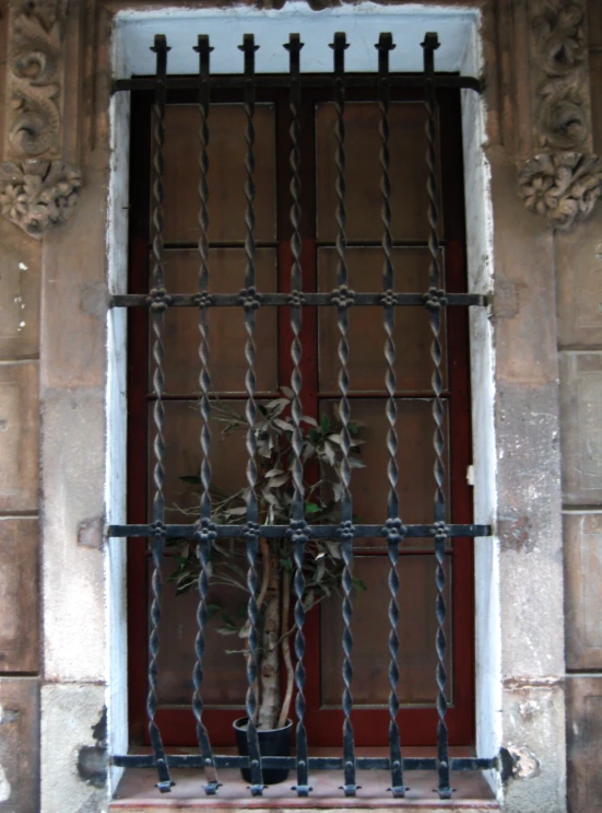 a decorative iron gate with a tree on top