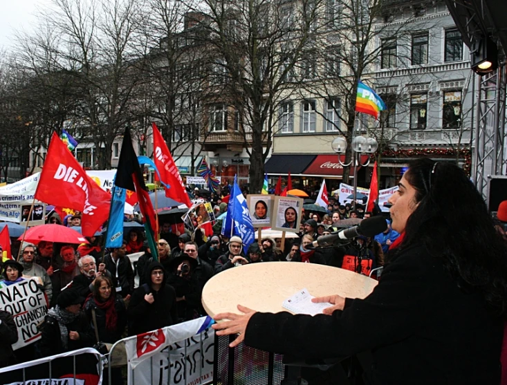 people holding flags and signs in a crowd