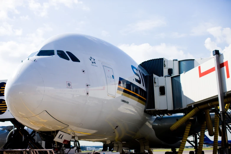 the large white airplane is being loaded with baggage