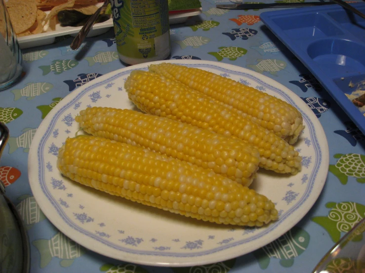 corn sitting on top of a white plate on a table