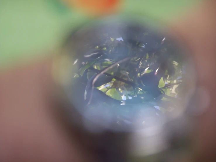 the view of nches through a hole through a magnifying glass