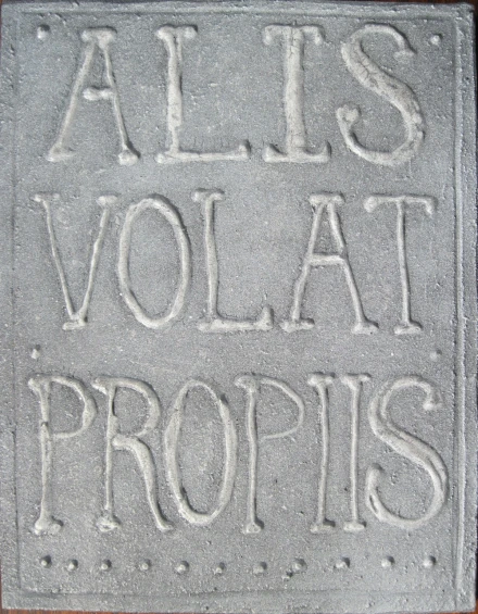 a welcome mat that says all is volati propis