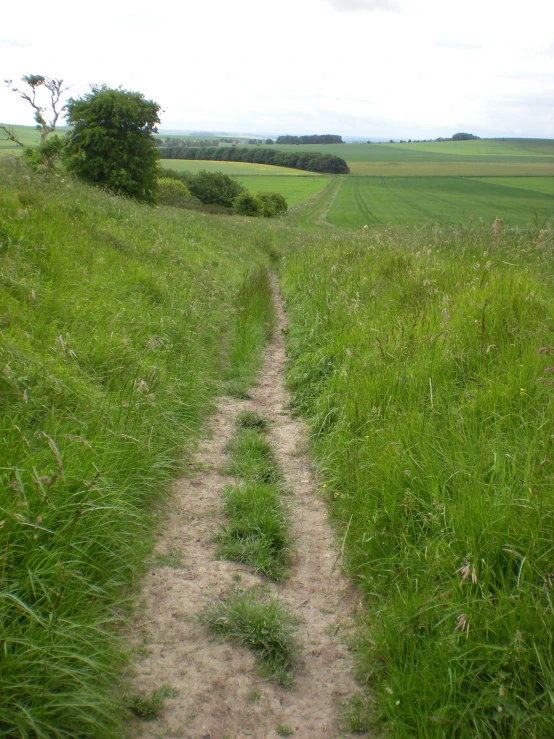 a dirt path is lined with grass near the field