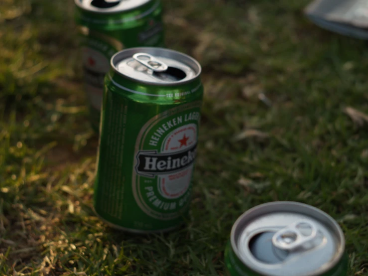 can of heineken beer on grass with silver tray behind it