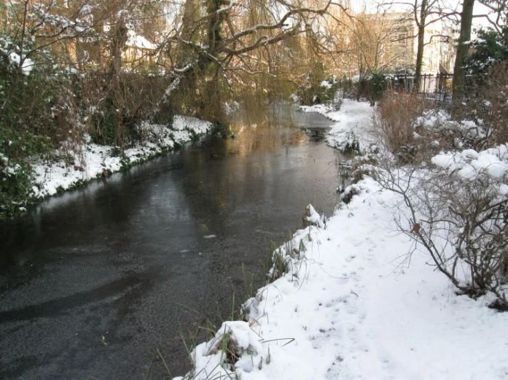 a small river surrounded by snow covered trees