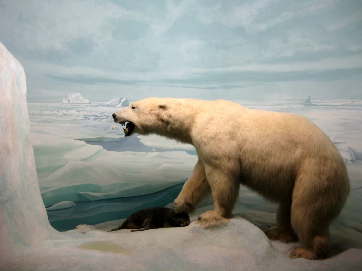 a polar bear standing in a zoo exhibit