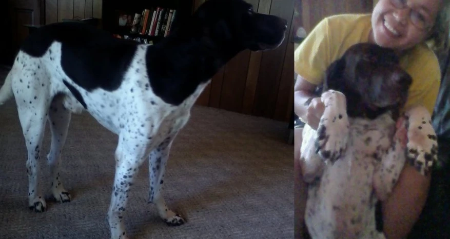 two people sitting in a room while one holds up a dog