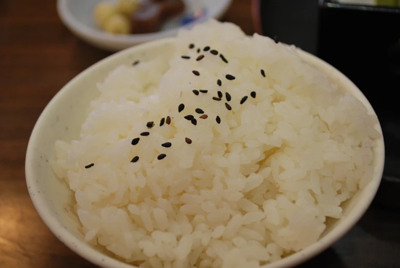 the bowl of rice has some seeds on it