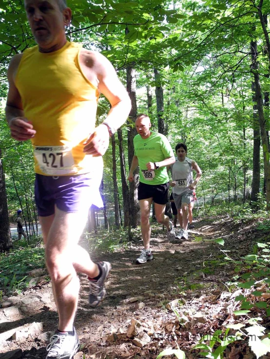a runner runs as two other people walk on the trail