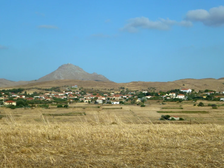 the brown grassy field with the city visible in the background