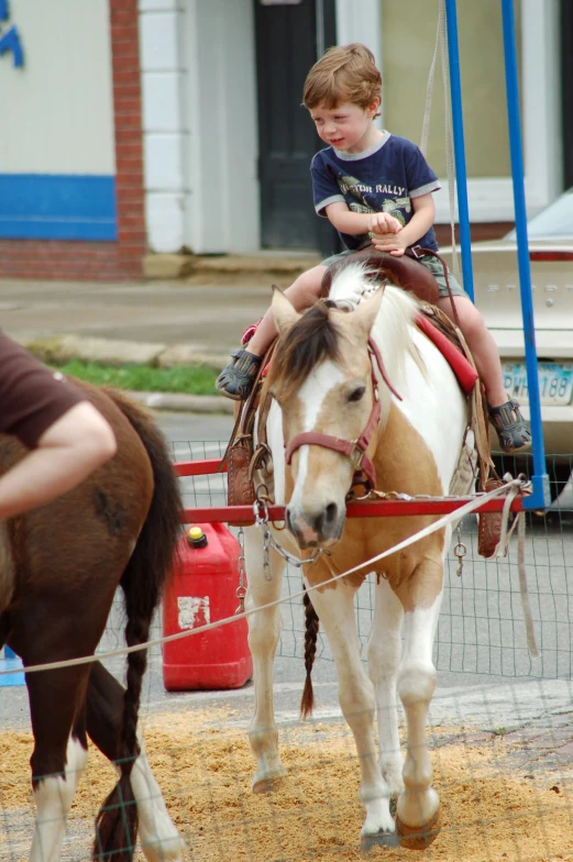 a young child riding on the back of a brown and white horse