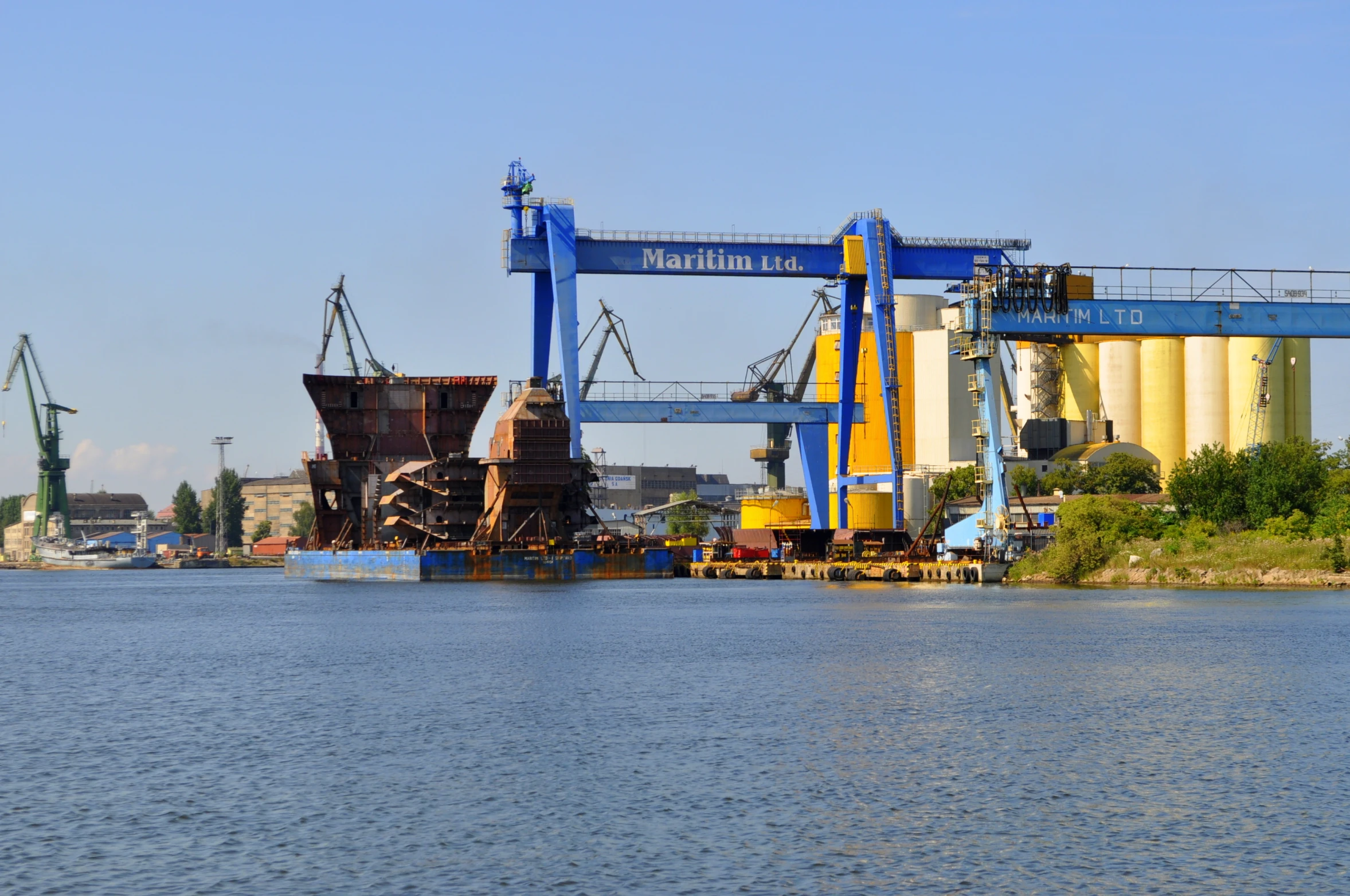 a group of large cranes that are by a lake