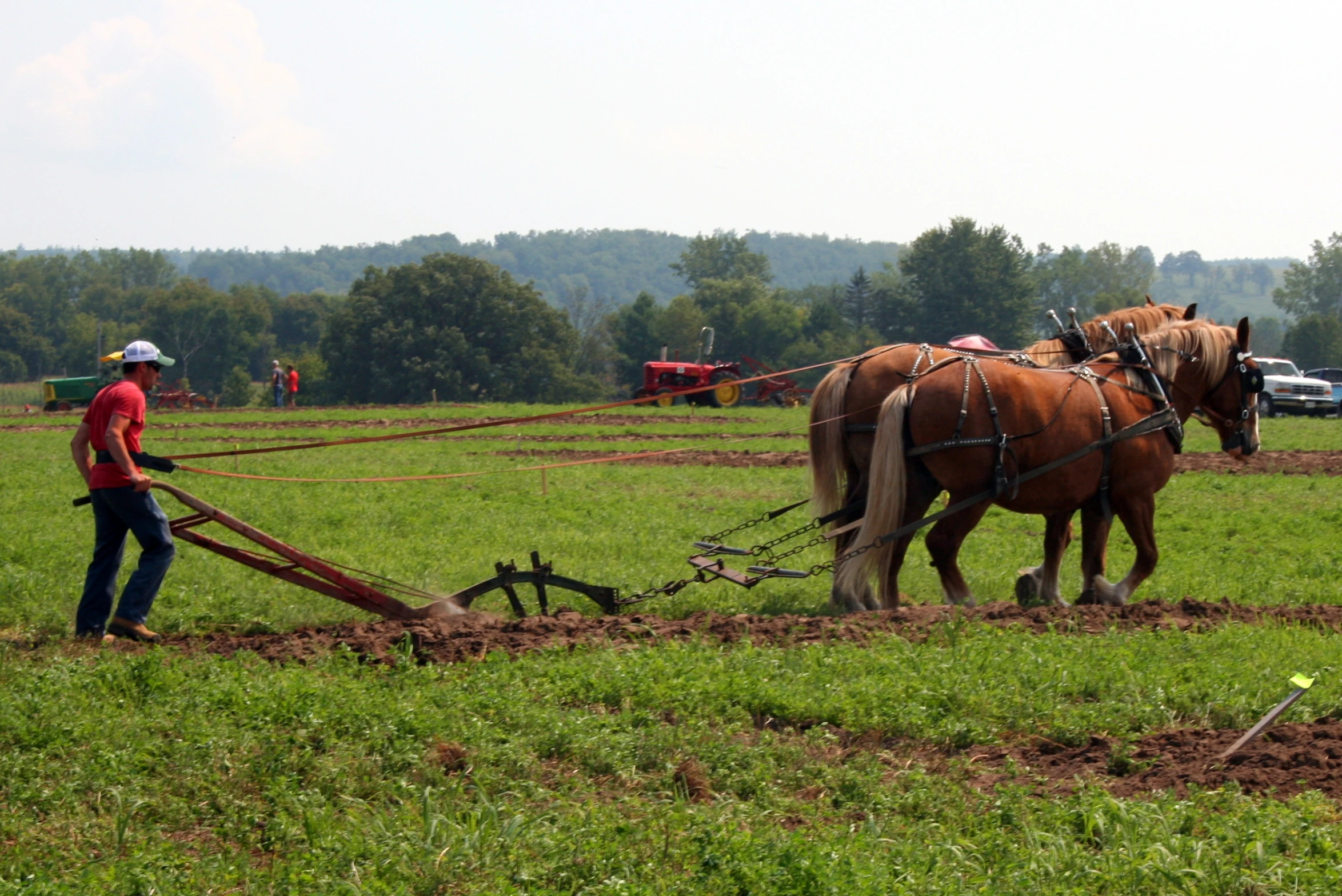 a couple of horses are pulling a plow in the field