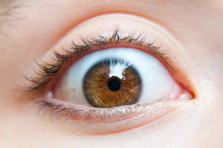 close up view of an eye showing the contact of the structure