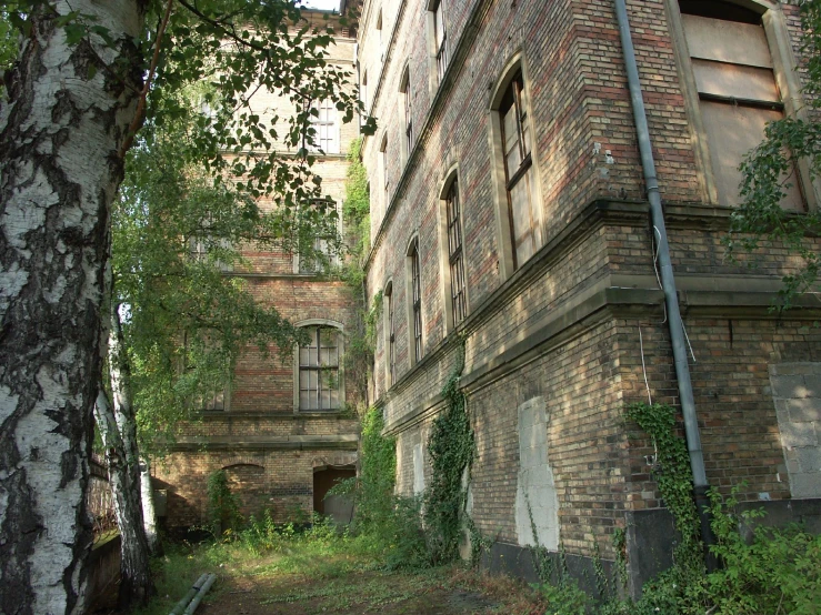 an abandoned building with trees lining the streets