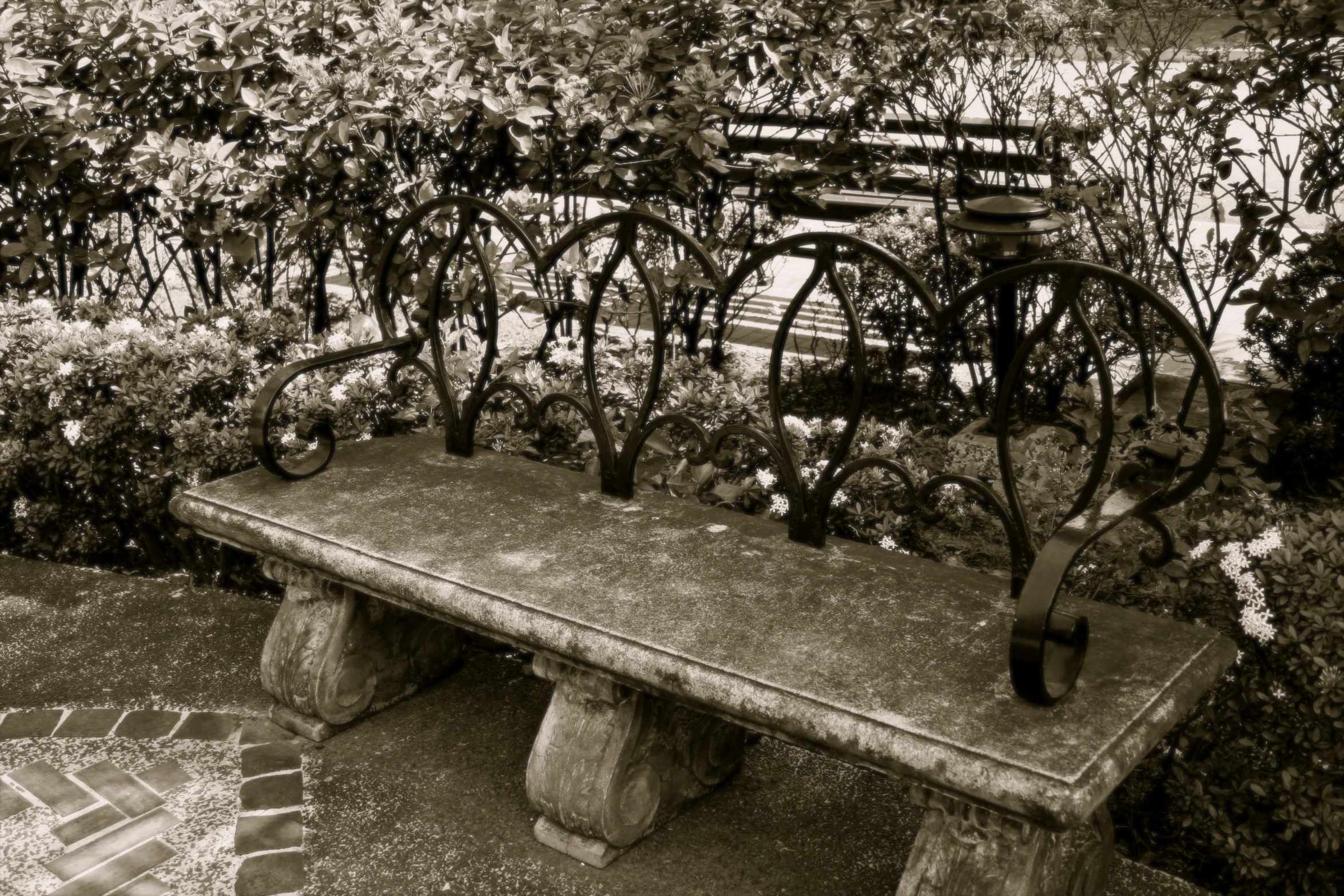 a bench surrounded by plants next to a path