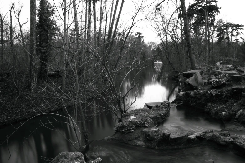 a river runs through a forested area next to a rock bridge