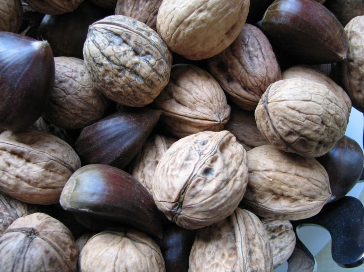 nuts and nuts kernels spread on the ground