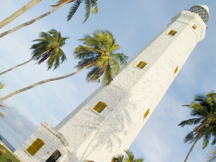 a lighthouse stands in front of palm trees