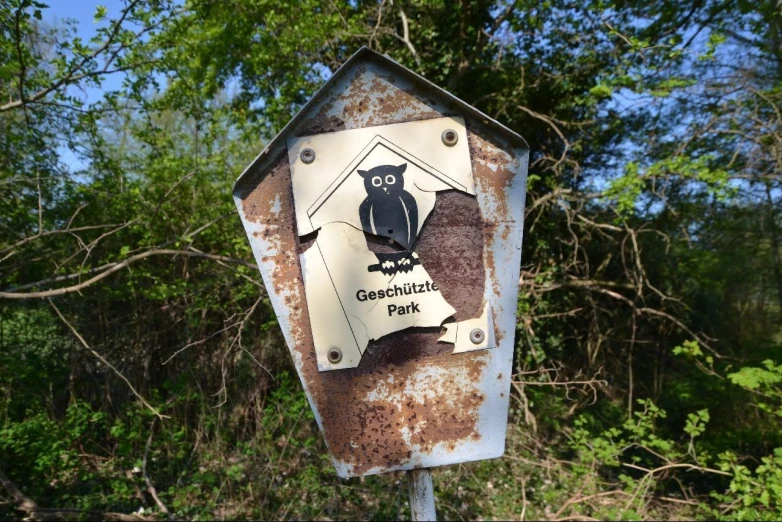 a street sign showing that owls don't fly on the road