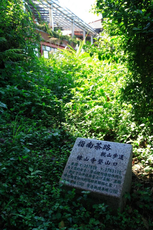 a marker in a green area that says in some chinese characters