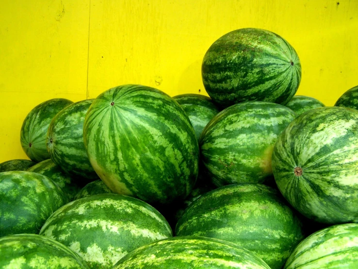 several watermelon sitting on top of each other